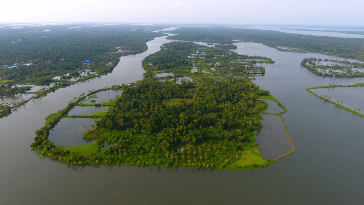 Kerala Luxury Tour Package: Your Ultimate Luxury Escape Awaits!