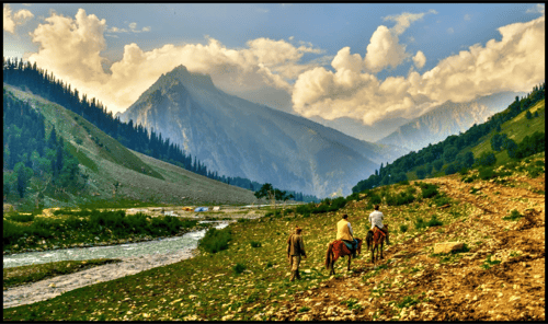 Kashmir Family Tour Package