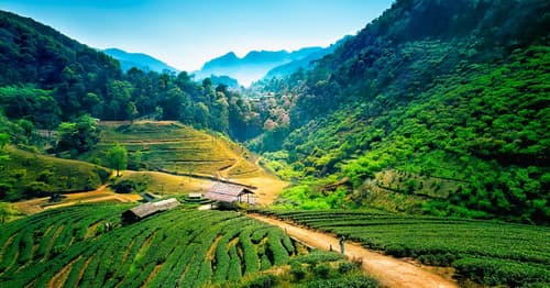 Chiang Mai Tourist Places: Ancient Temples, Misty Mountains And Vibrant Night Markets