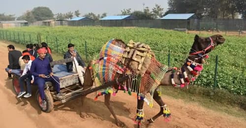 Jhajjar Tourist Places
