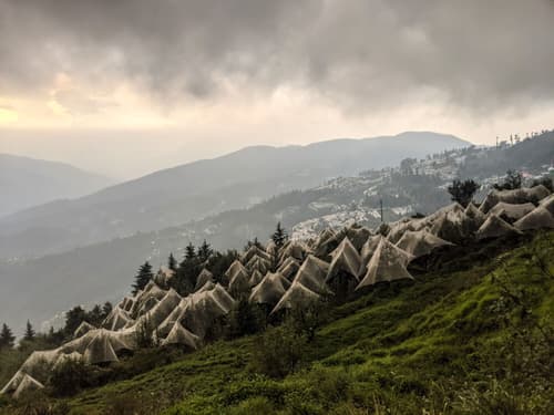 Himachal Tour Package: 5 Nights of Scenic Beauty in Dharamshala, Dalhousie & Amritsar