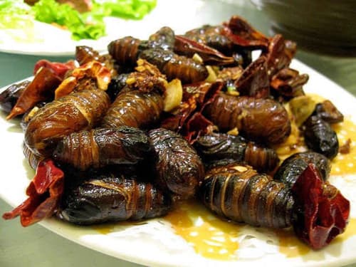 Bizarre Indian Foods You Should Taste at Least Once: From Fermented Fish to Spicy Insect Snacks