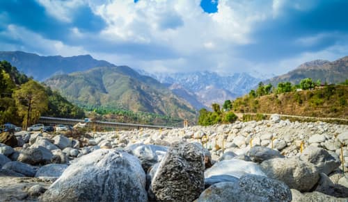 Palampur Tourist Places: Where Lush Gardens Kiss The Mountains