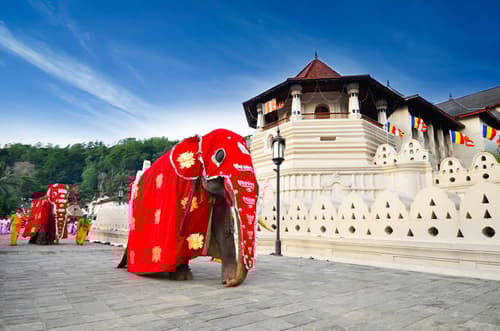 Best Temples in Sri Lanka: Serene Sanctuaries
