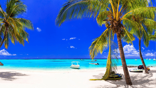 Best Beaches in Mauritius: Turquoise Waters, Powdery Sands, and Endless Sunshine