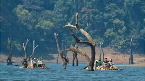 Top Tourist Places in Thekkady