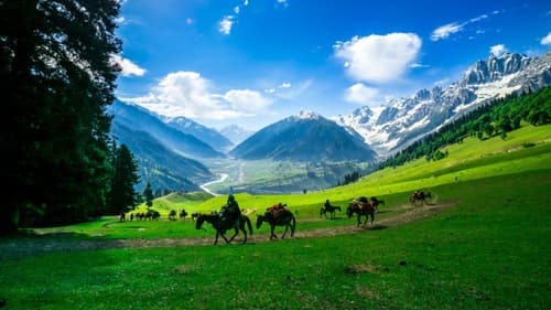 Srinagar Tourist Places: Explore the Beauty of Kashmir