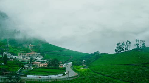 Karnataka Tour: Kodaikanal, Ooty & Mysuru – 5 Nights of Scenic Bliss