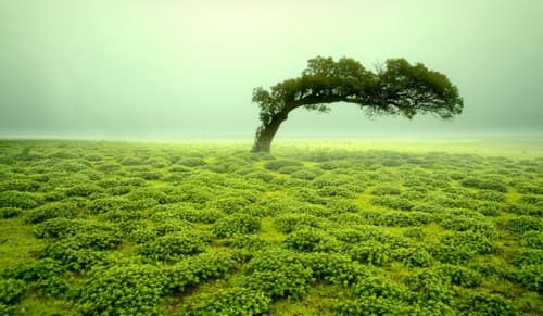 Satara Tourist Places: A serene blend of nature, history, and scenic beauty