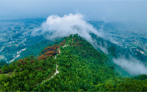 Dehradun Tourist Places: Nestled in the Footsteps of the Majestic Himalayas