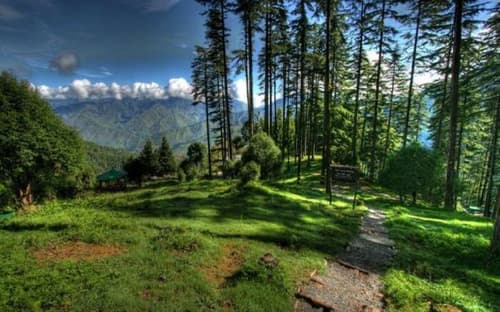 Dhanaulti Tourist Places: A perfect blend of nature, adventure, and peaceful solitude.