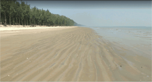 Chandipur Tourist Places: A Hidden Gem Where Tranquility Meets the Sea