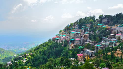 Dharamshala Honeymoon Package: Whispering Pines, Misty Hills, and a Love Story in Dharamshala - Where Every Moment feels like a Dream