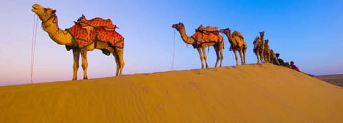 Rajasthan Tour Package: 3 Nights in Jodhpur & Jaisalmer – A Journey Through Majestic Forts and Golden Sands