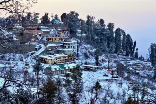 Kufri Tourist Places: A Winter Wonderland & Adventure Haven
