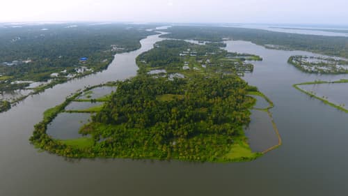 Kerala Tour Package: Discover The Magic Of Kerala With A 7-Night Tour, Featuring Stunning Landscapes