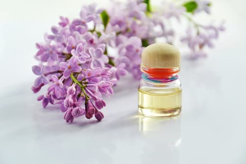 Fragrance Trail of India