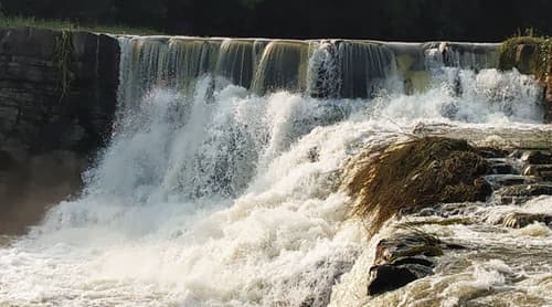 Bhatinda Tourist Places: Ancient Forts, Warm Hearts