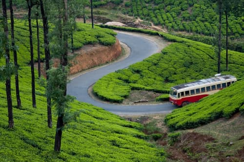Vagamon Tourist Places: Serenity Covered in Lush Green Hills