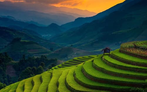 Ranikhet Tourist Places: A Serene Himalayan Retreat, Where Nature Breathes Life