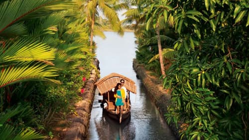 Where Love Blooms Amidst Backwaters – 7 Days 6 Nights Kerala Honeymoon Package