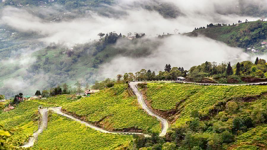 Darjeeling Gangtok Honeymoon Package: 5 Days 4 Nights of Romance in Tea Gardens & Mountains