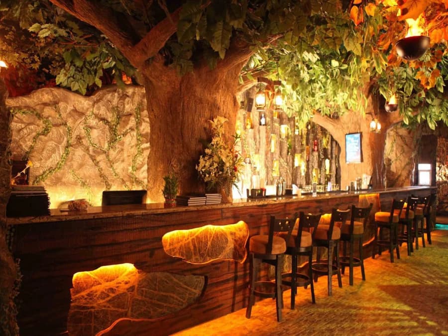 Themed Cafes in India
