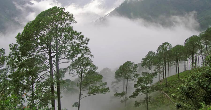 Lambasingi Tourist Places