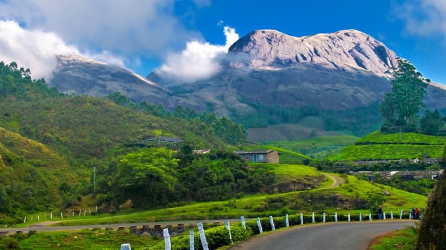 Kerala Family Holiday Package: 6 Days 5 Nights to Unwind in Munnar, Thekkady, Alleppey & Cochin