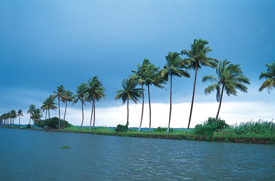 Kerala Tour Package: 5 Nights of Bliss in Cochin, Munnar, Thekkady & Alleppey