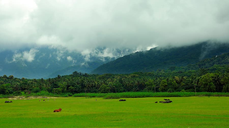 Palakkad Top Tourist Places