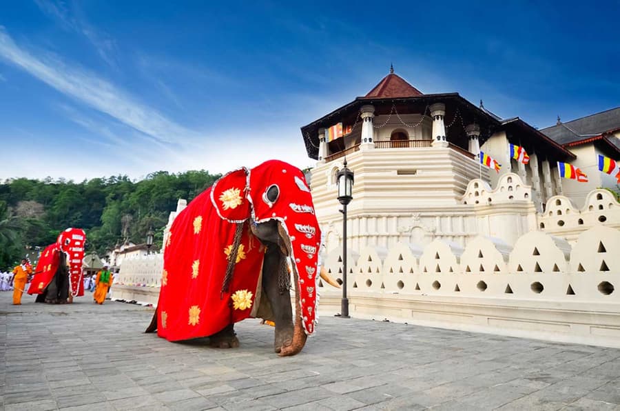 Best Temples In Sri Lanka