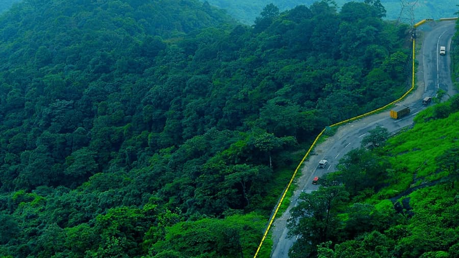 Wayanad Tour Package: Nature’s paradise awaits!