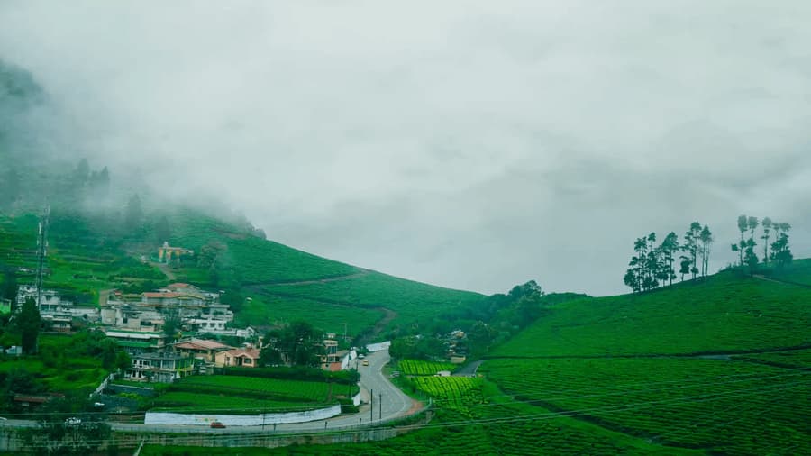 Karnataka Tour: Kodaikanal, Ooty & Mysuru – 5 Nights of Scenic Bliss
