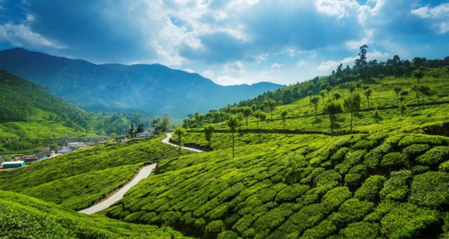 Idukki Top Tourist Places