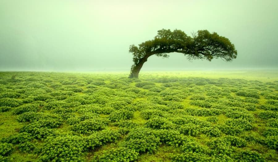 Satara Top Tourist Places