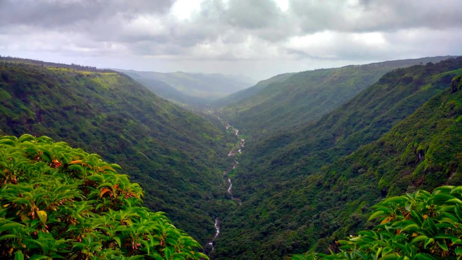 Araku Valley Tourist Places