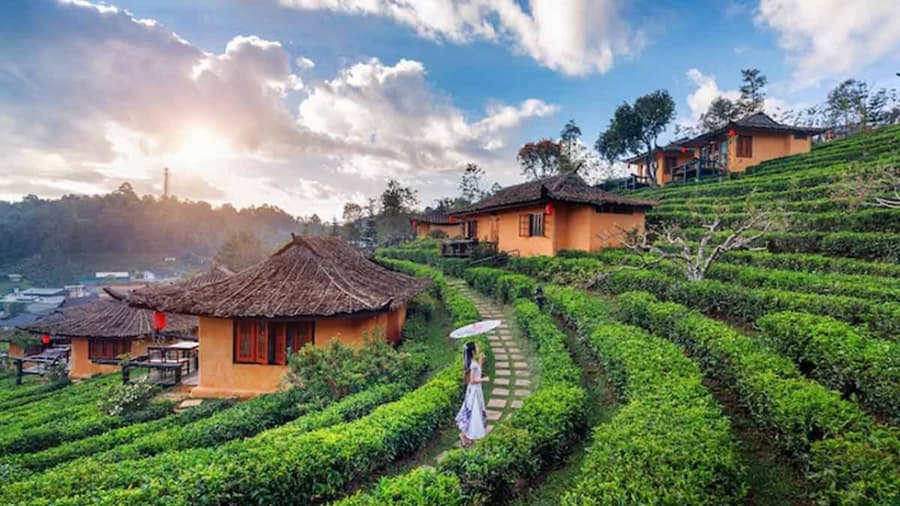 Nature Attractions In Nagaland