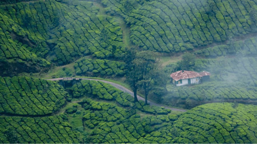 Best tourist Places in Munnar