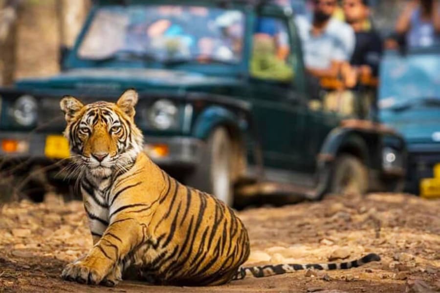 Corbett Top Tourist Places