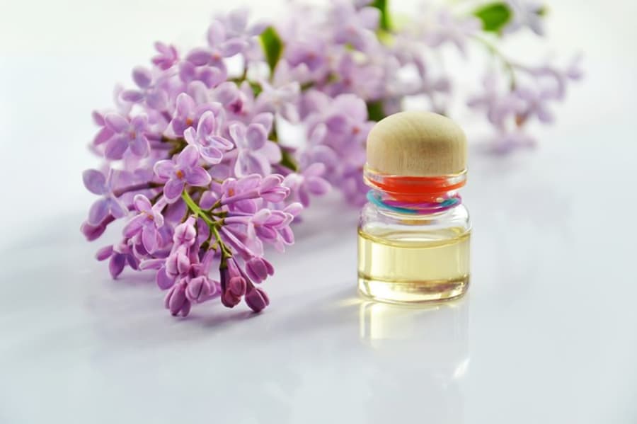 Scents of Arabia: A Perfumed Path Through Dubai, Muscat & Taif