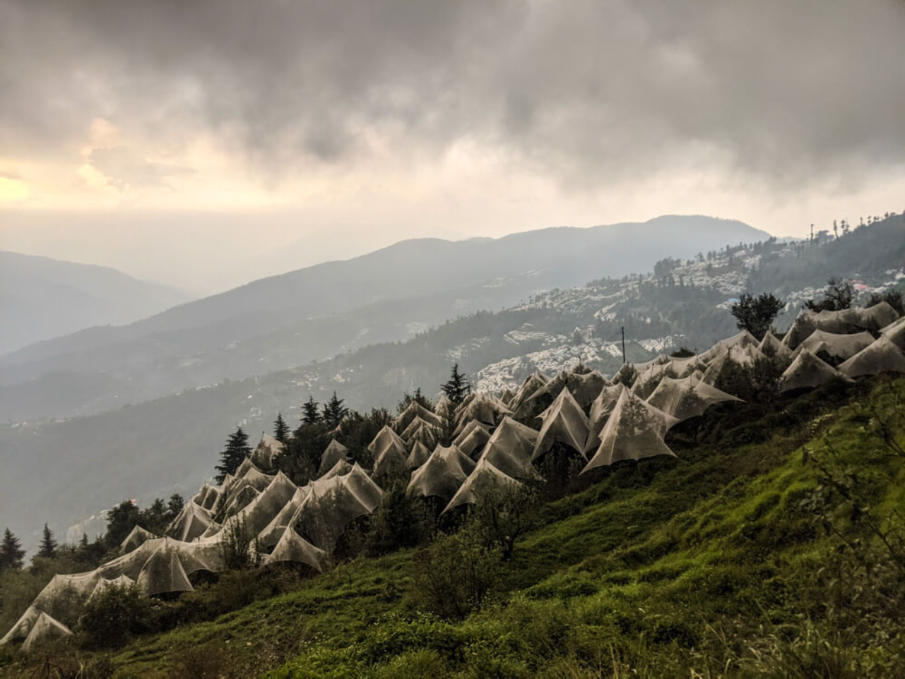 Himachal & Heritage Tour: 5N – Dharamshala, Dalhousie & Amritsar