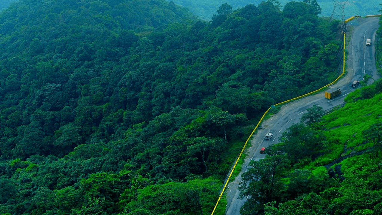 Top Tourist Places in Wayanad: Best places to Visit in Wayanad