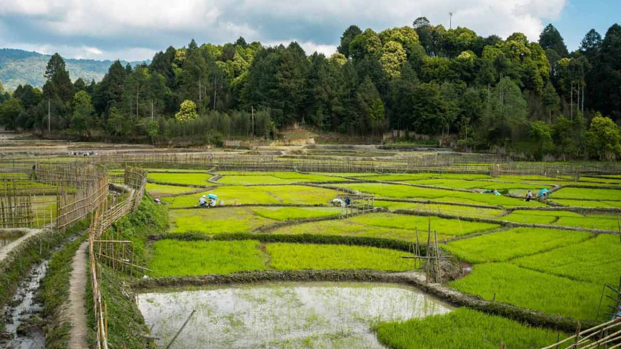 North East Tour Package 5 Nights Gangtok Darjeeling